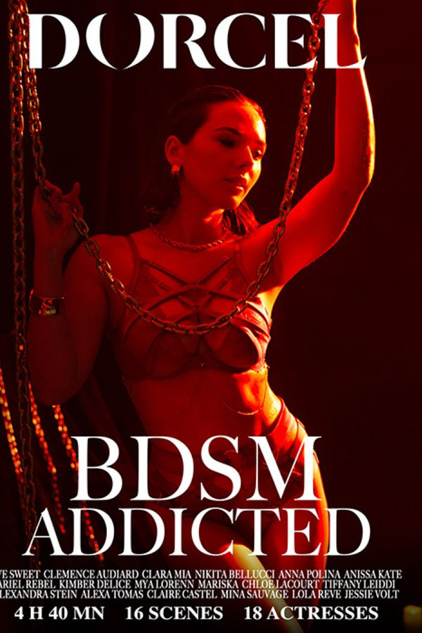 BDSM Addicted 海报