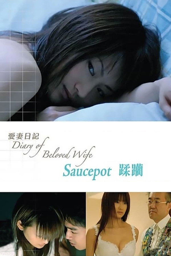 爱妻日记：蹂躏 海报