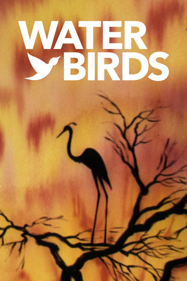 Water Birds 海报