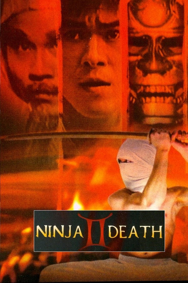 Ninja Death 2 poster
