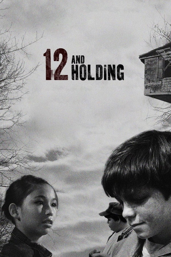 12岁的少年