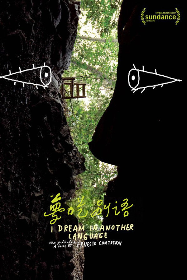 梦呓雨林