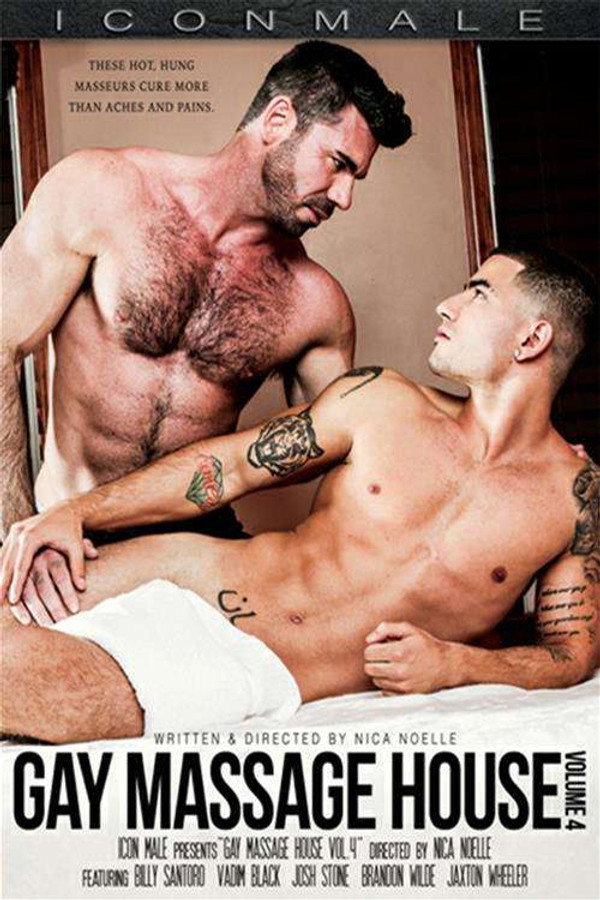 Gay Massage House 4 海报