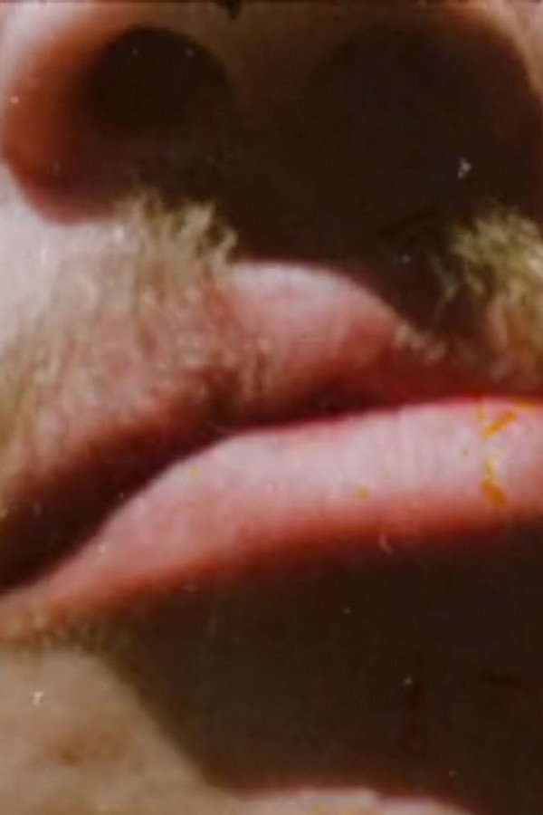 Invocations of Canyons and Boulders (for Stan Brakhage) poster