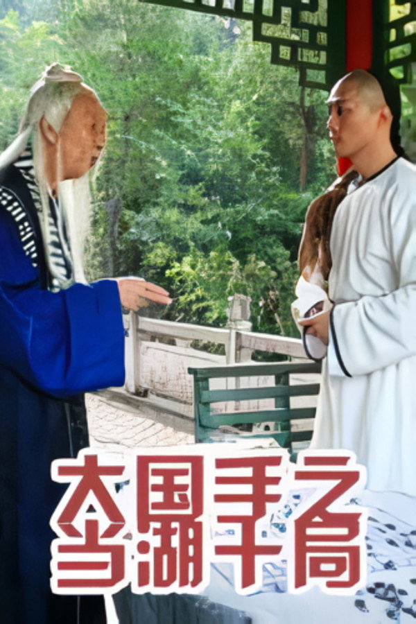 大国手之当湖十局 海报