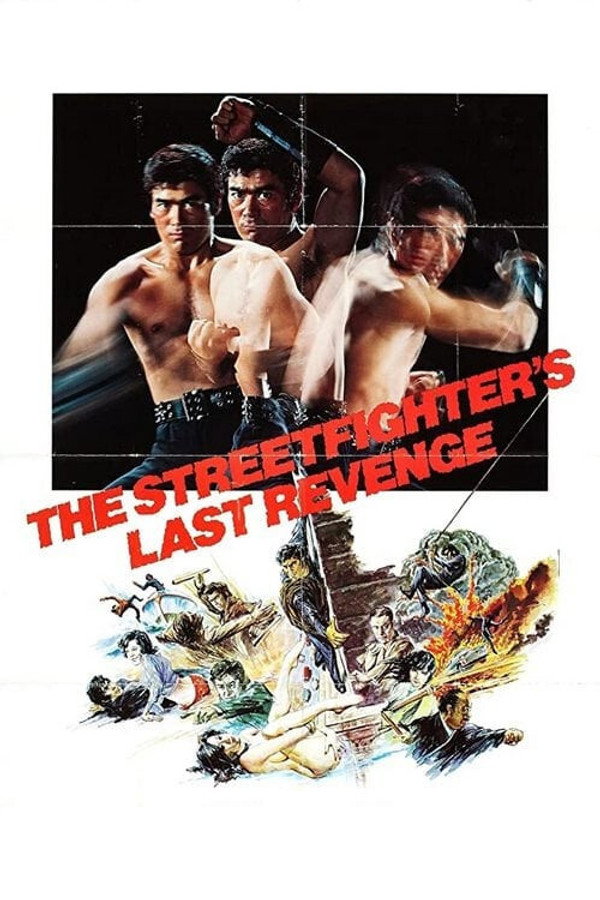 The Street Fighter's Last Revenge poster