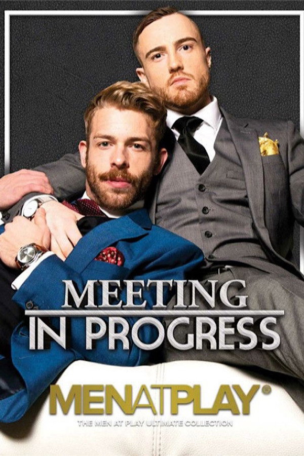 Meeting in Progress 海报