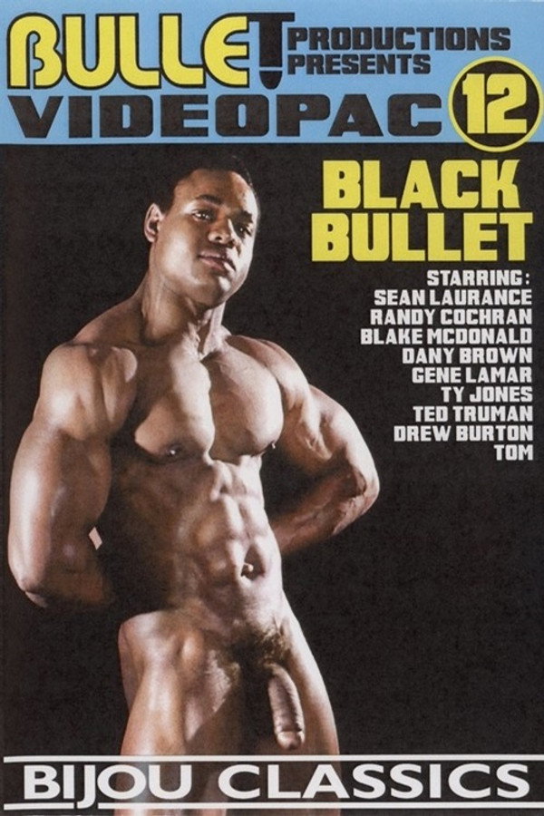 Bullet Videopac 12: Black Bullet 海报