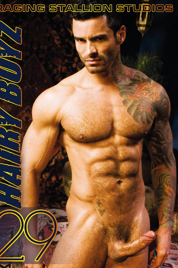 Hairy Boyz 29 海报