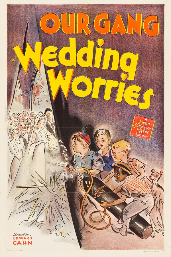 Wedding Worries 海报
