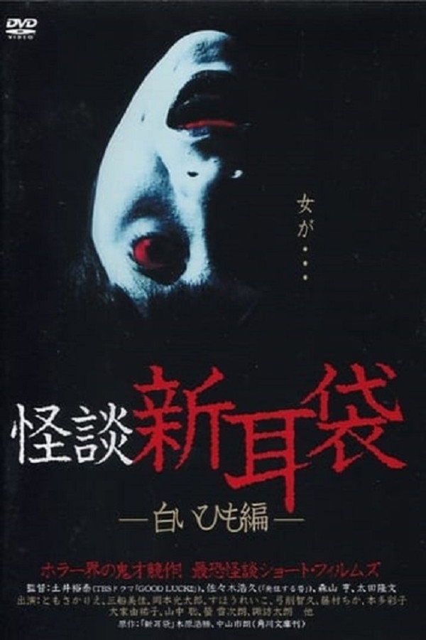 怪谈新耳袋：白细绳篇 海报