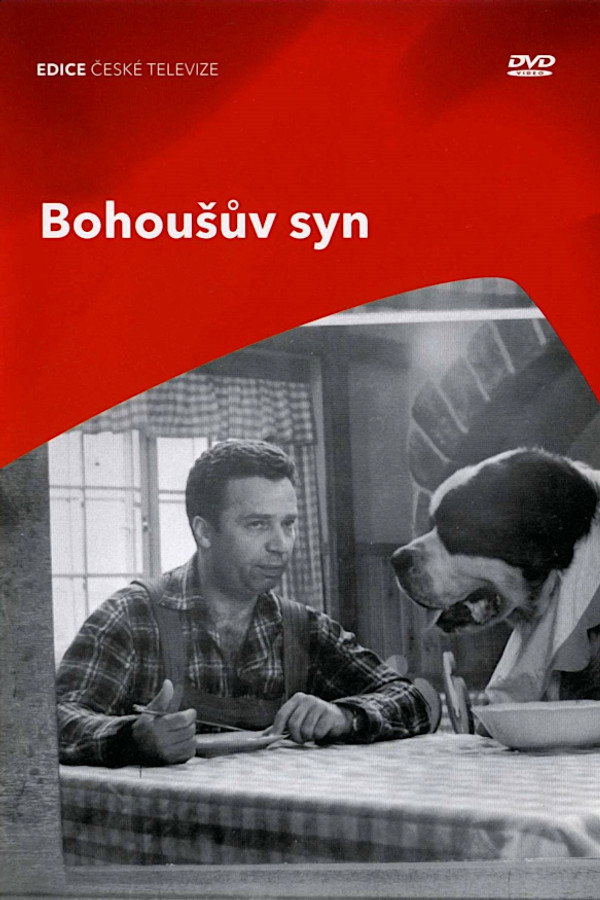 Bohoušův syn poster