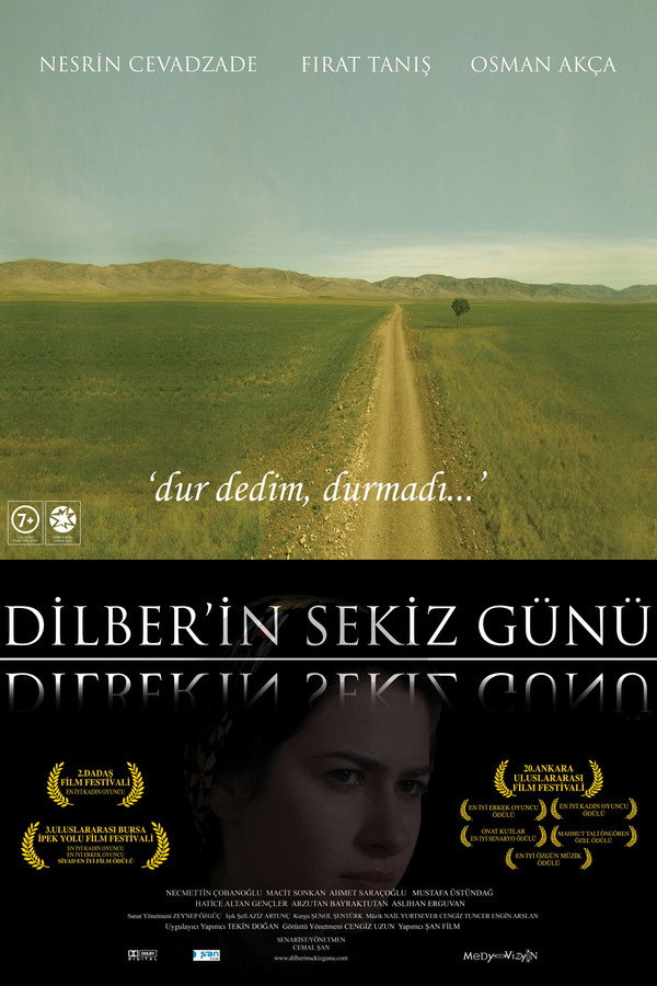 Dilber'in Sekiz Günü 海报