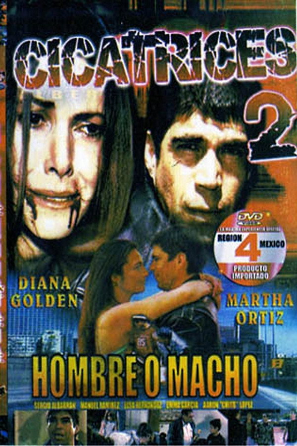 Scars 2 poster