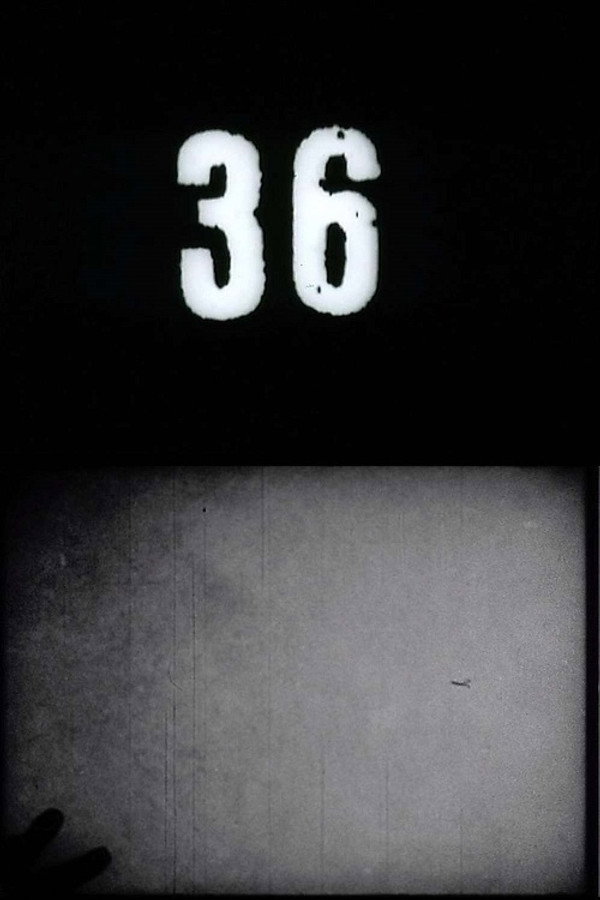 Fluxfilm No. 36 poster
