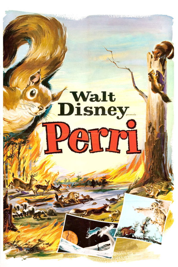 Perri 海报