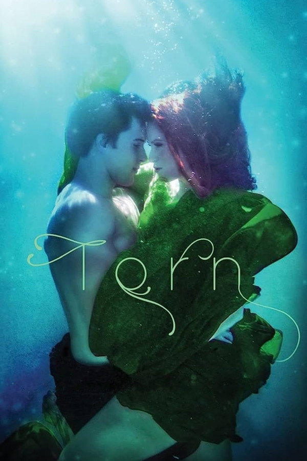 Torn 海报