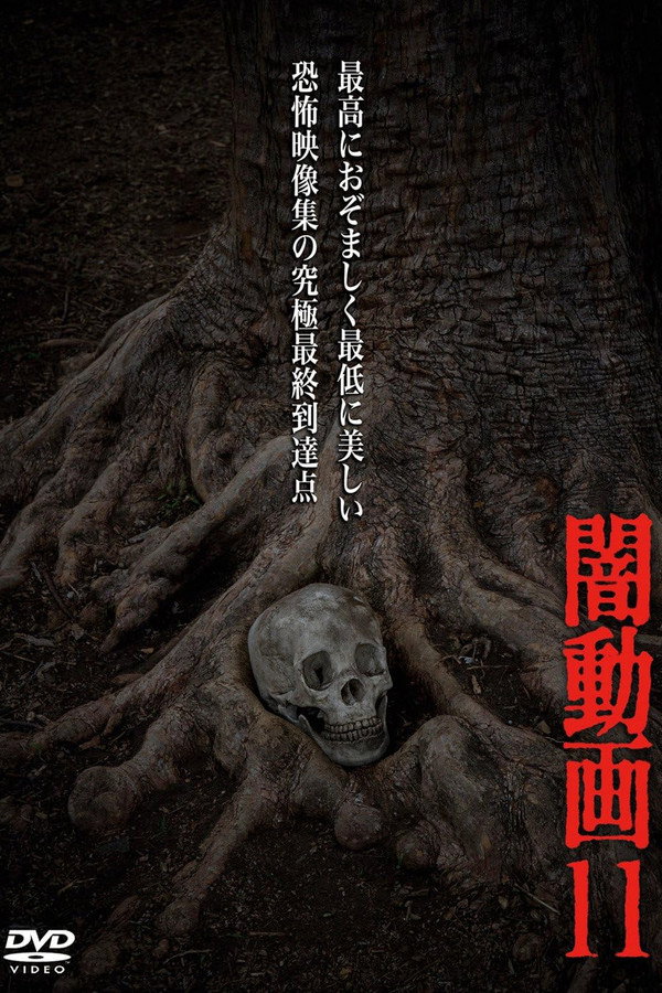 Tokyo Videos of Horror 11 poster