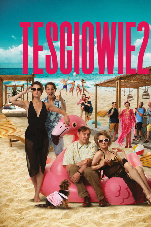 The In-Laws 2 poster