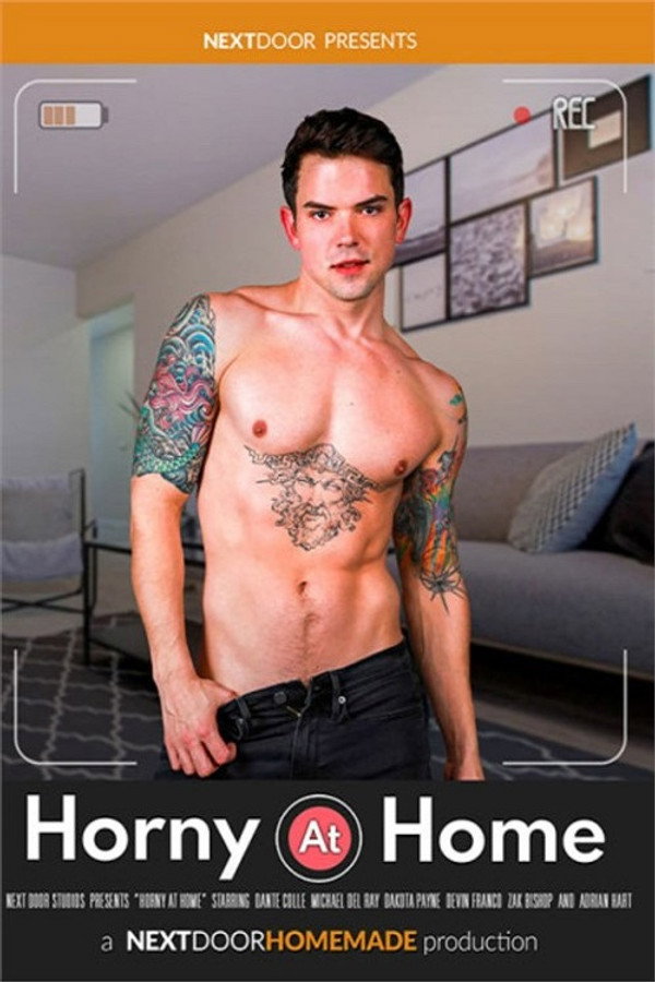 Horny at Home 海报