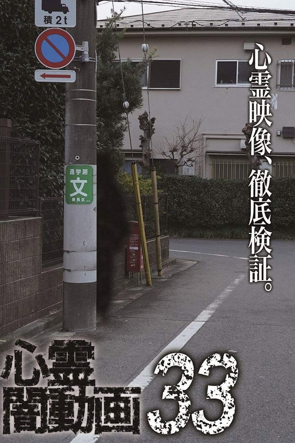 Psychic Darkness Video 33 poster