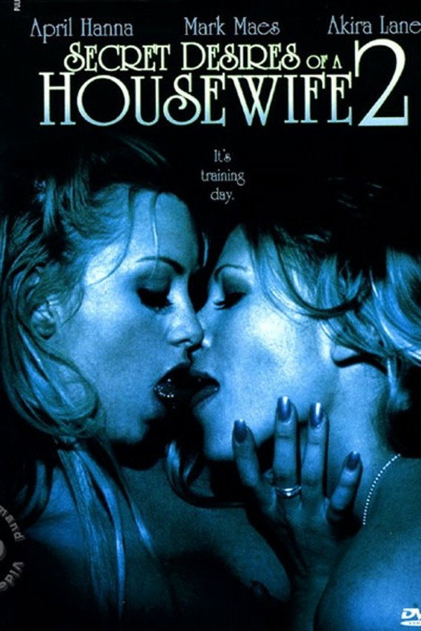 Secret Desires of a Housewife 2 海报