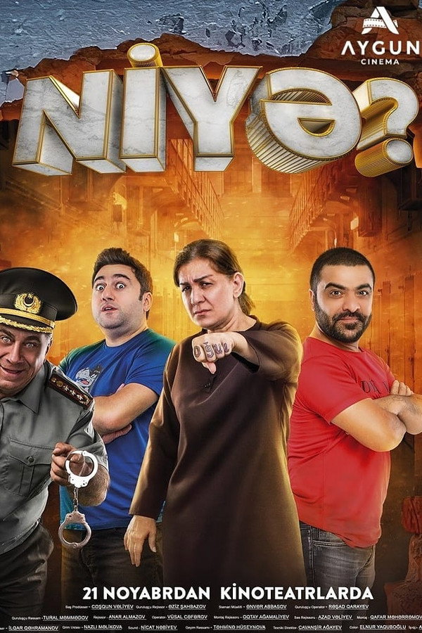 Why? 3 poster