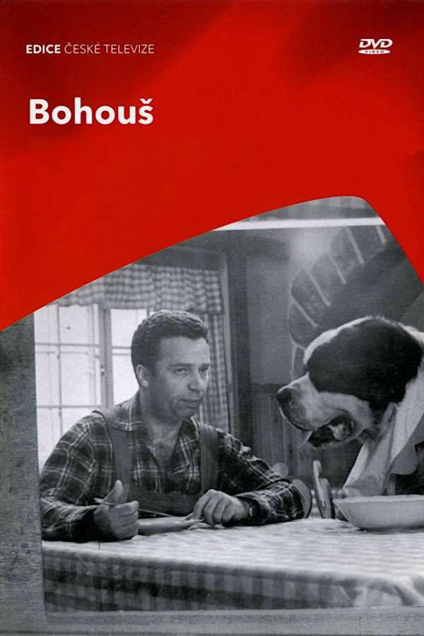 Bohous poster