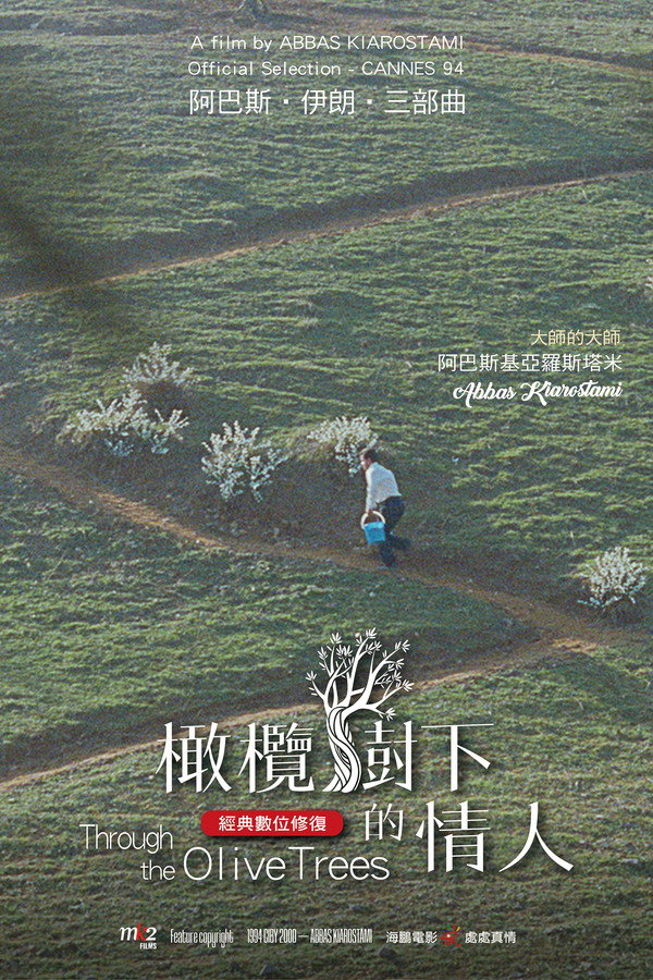 橄榄树下的情人 海报