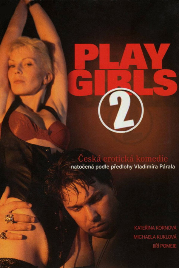Playgirls 2 poster