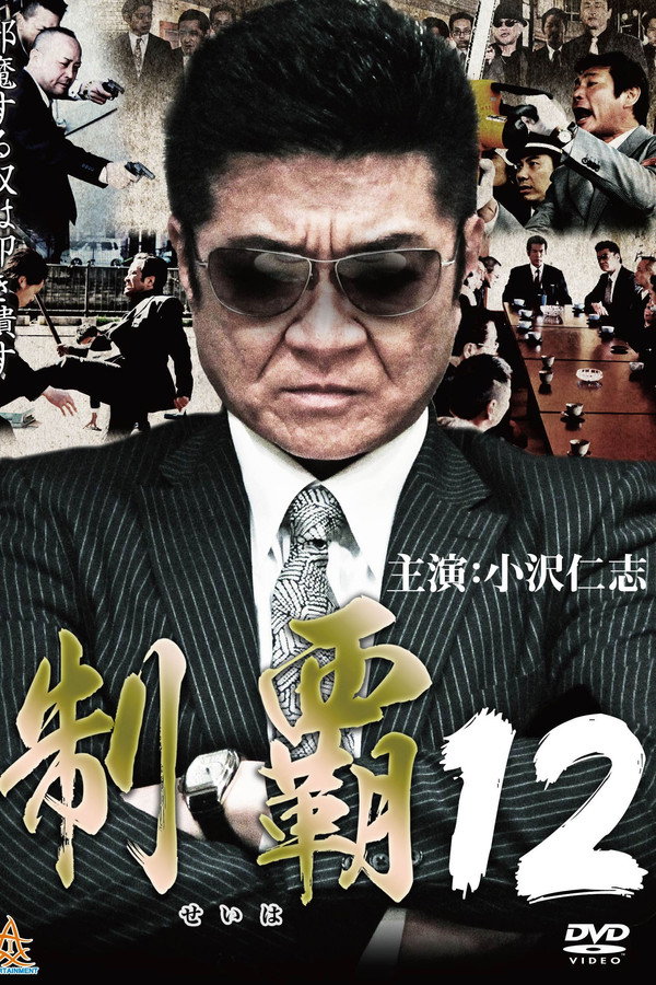 Conquest 12 poster