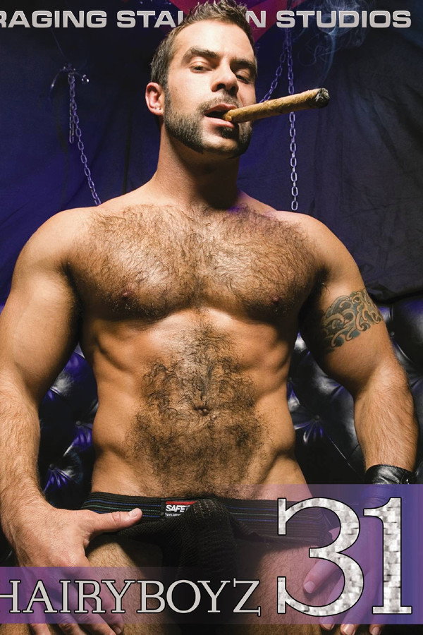 Hairy Boyz 31 海报