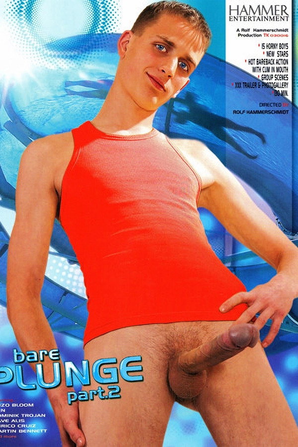 Bare Plunge 2 海报