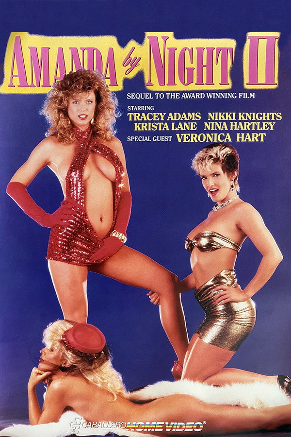 Amanda by Night 2 poster