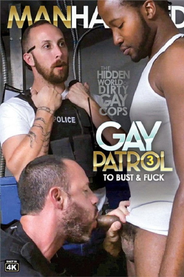 Gay Patrol 3 海报