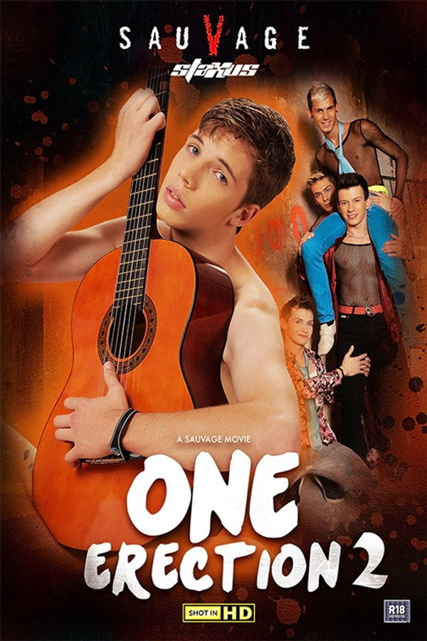 One Erection 2 海报
