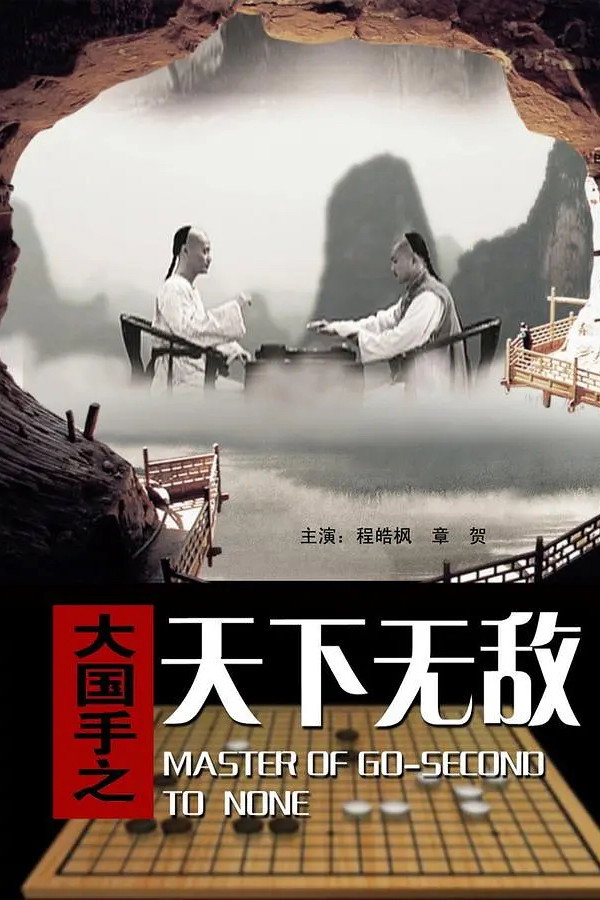 大国手之天下无敌 海报