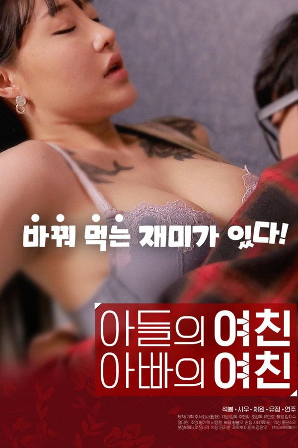 儿子的女友父亲的女友 海报