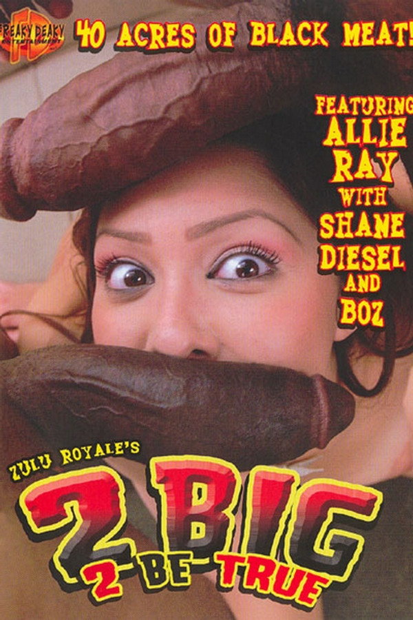 2 Big 2 Be True 海报