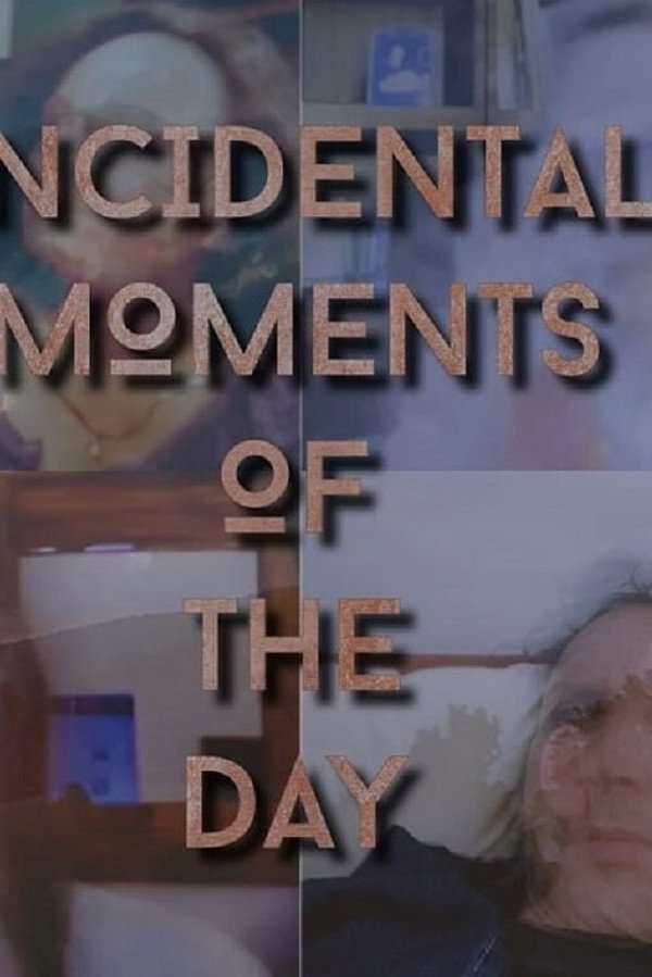 Incidental Moments of the Day poster