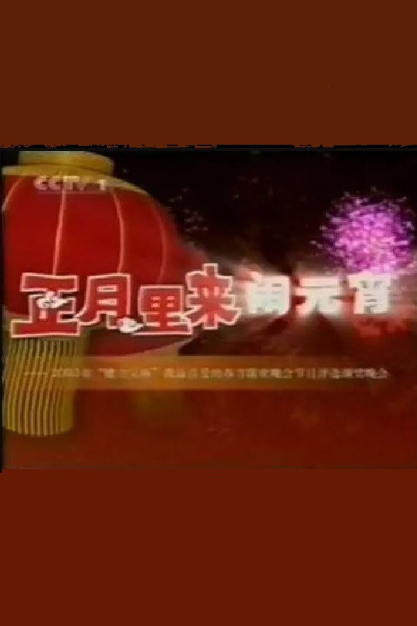 2003年中央电视台元宵晚会 海报
