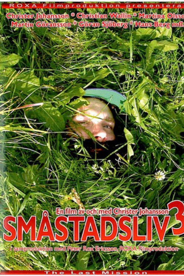 Småstadsliv 3 海报
