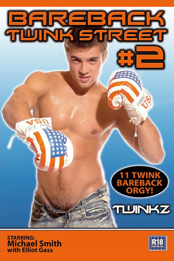 Bareback Twink Street 2 海报