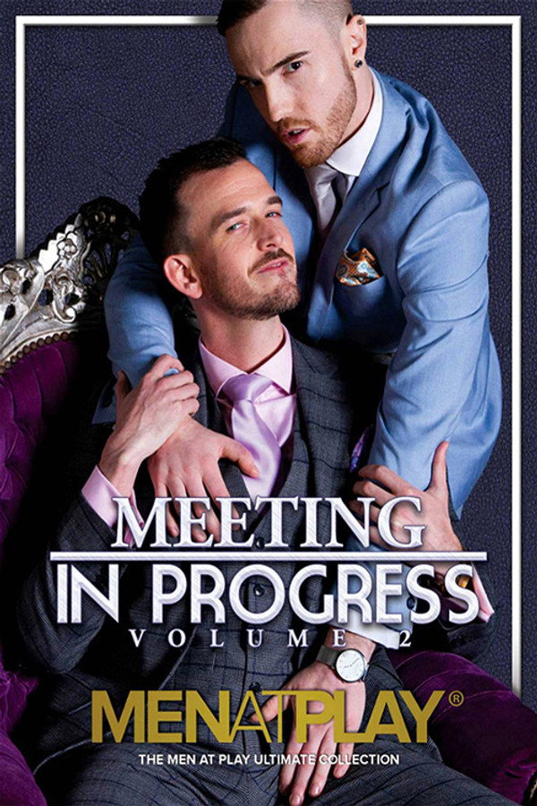 Meeting in Progress 2 海报