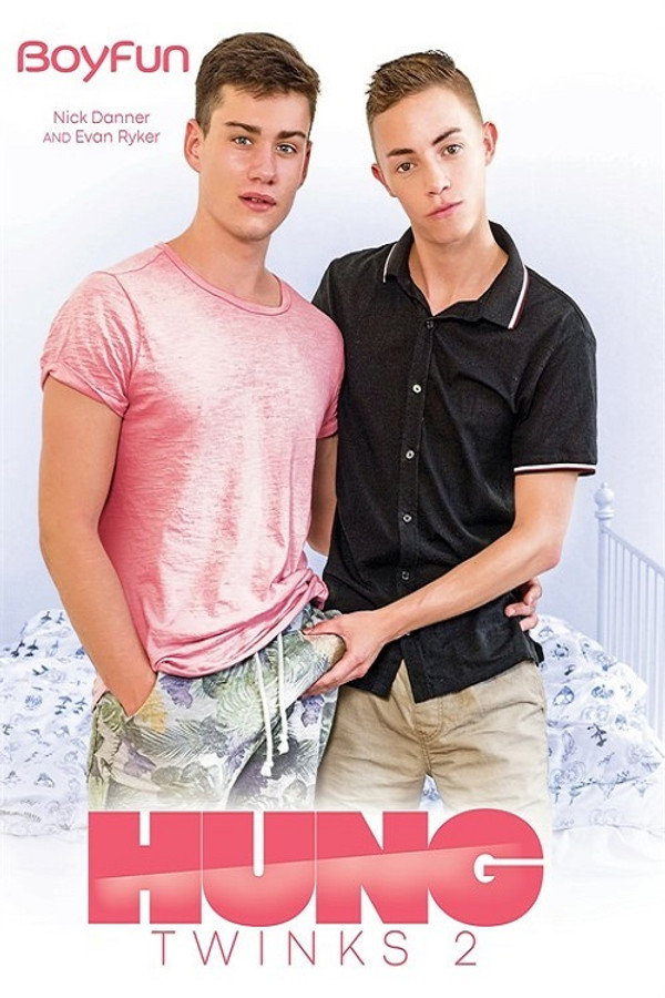 Hung Twinks 2 海报