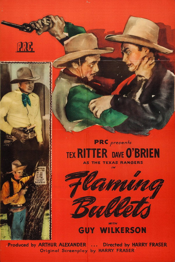 Flaming Bullets 海报