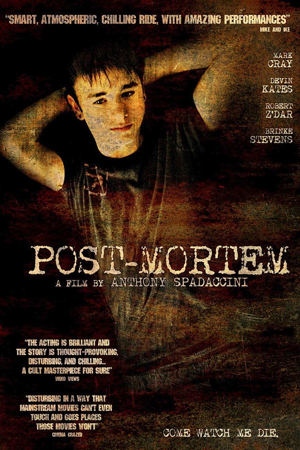 Post-Mortem 海报