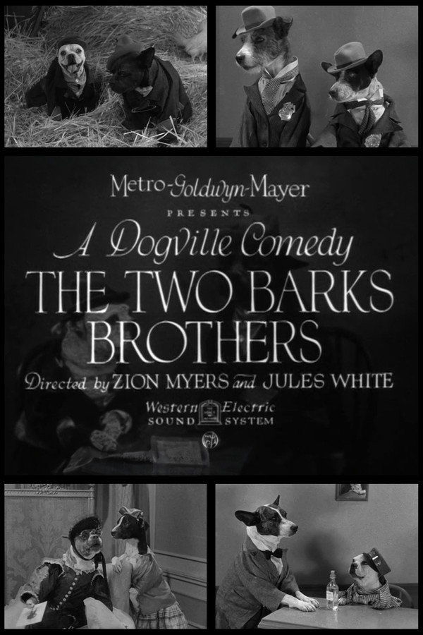 The Two Barks Brothers 海报