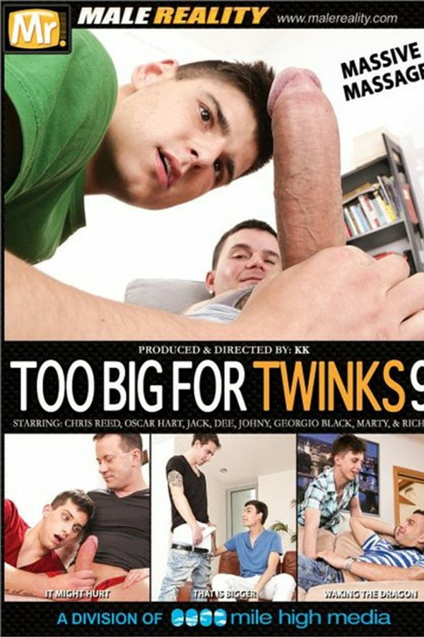 Too Big for Twinks 9 海报