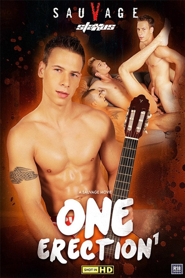 One Erection 海报